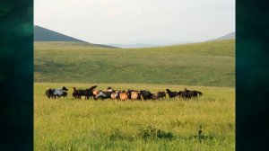 §19 "Растительный и животный мир Земли", География 7 класс, Полярная звезда