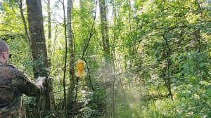 Перцовый Баллончик Ответственность и Последствия / Ответы на вопросы