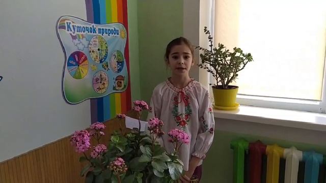 Зі святом 8 березня 4 Б клас смотреть онлайн