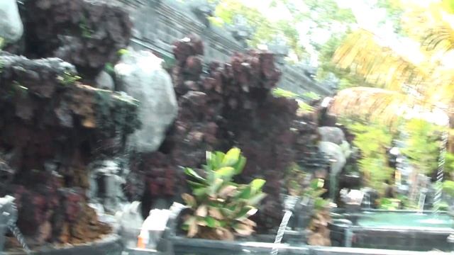 Откровения и намерения на ближайший месяц от  Андреянова Александра с места силы. Остров Бали.