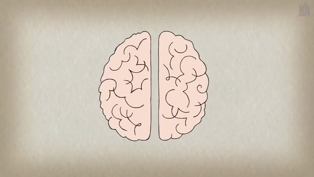 МОЗГ МУЗЫКАНТА