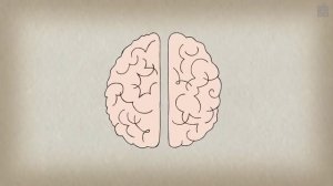 МОЗГ МУЗЫКАНТА