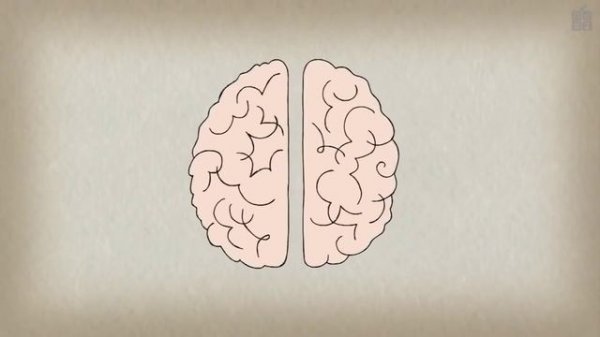 МОЗГ МУЗЫКАНТА