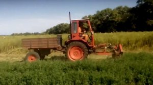 Т 16 с передней навеской с косилкой.