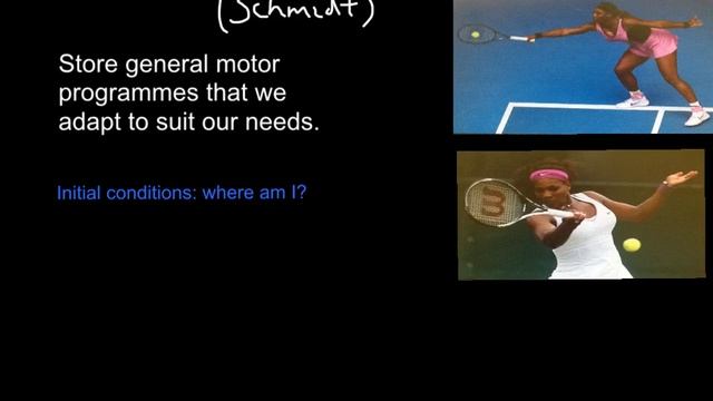 Schema Theory смотреть онлайн
