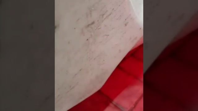 Jentra MERS SALON POLNI FULLLLL