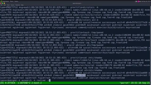 Detecting Exploits - OMIGod (Linux Logging with Auditd) смотреть онлайн