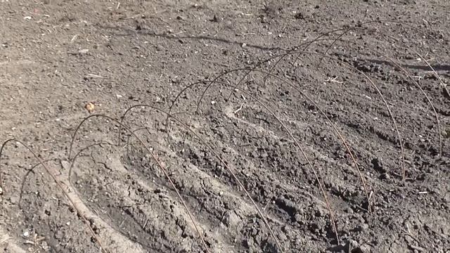 Вот и пришла весна. Наша дача смотреть онлайн