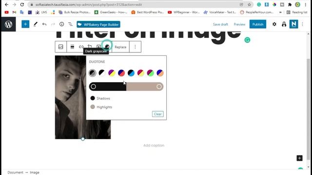 How to Add and Apply Filter on Images in WordPress | WordPress 2021 смотреть онлайн