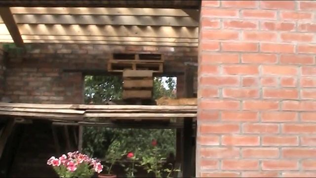 оконные перемычки и что будет вокруг беседки смотреть онлайн