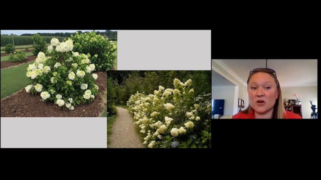 Pruning Landscape Trees, Shrubs, Plants.Celeste Scott final смотреть онлайн