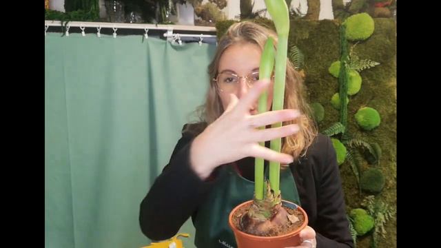 Entretien Amaryllis Partie 2 смотреть онлайн