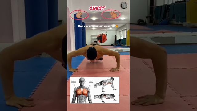 Как правильно отжиматься ? смотреть онлайн