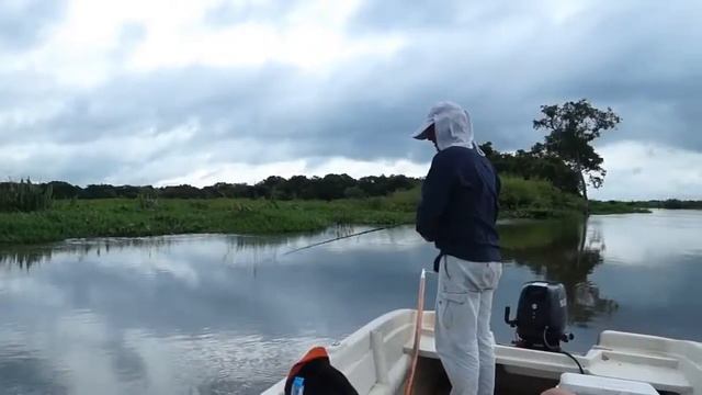 Рыбалка на золотого дорадо в Аргентине смотреть онлайн