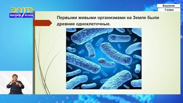 7-класс | Биология | Доказательства эволюции животного мира смотреть онлайн