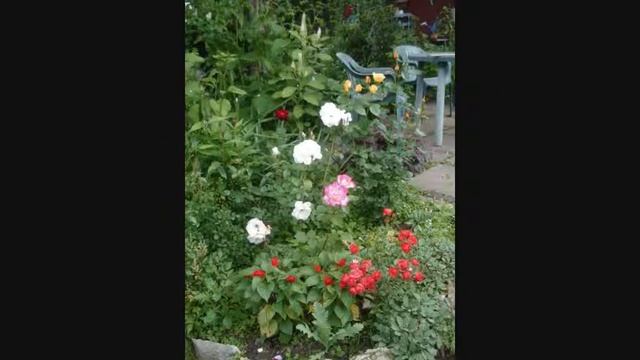 сокровища сада 2014 смотреть онлайн