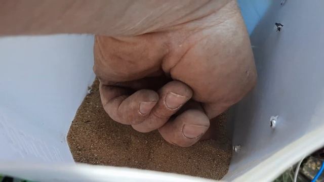 Высевающий самодельный аппарат для минеральных удобрений на однорядную картофелесажалку смотреть онлайн