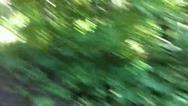 Вылазка на великах - Москва - Измайловский парк - 2011-07-30