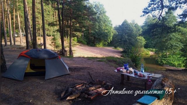 По проекту «Активное долголетие 65+» #аленарозум смотреть онлайн