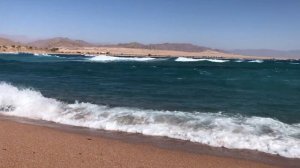 Шарм Эль Шейх лучший пляж ! Barcelo Tiran Sharm 2021.Египет.