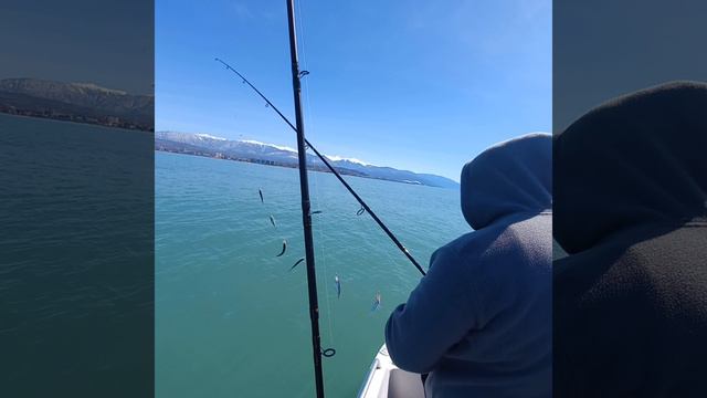 Сумасшедший клев ставриды. смотреть онлайн