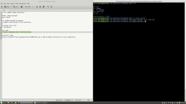 Git Commit empty directory #78 смотреть онлайн
