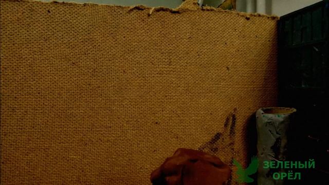 Зеленый слоник гавновой(пластилиновая анимация) смотреть онлайн