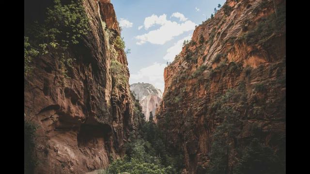 Beautiful Bamboo Flute Zen Relax Music & Nature Tropical Forest Sounds Meditation Sleep | One Hour смотреть онлайн