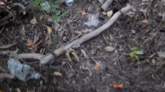 Главное найти баланс\\Металл на дороге\\Набрал 3,5 кг банок смотреть онлайн