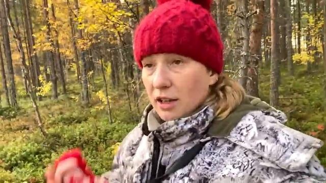 Ужас! Нашла мину у туристов.Болото с клюквой.Как живут туристы? Где растёт клюква?Где мы будем жить смотреть онлайн