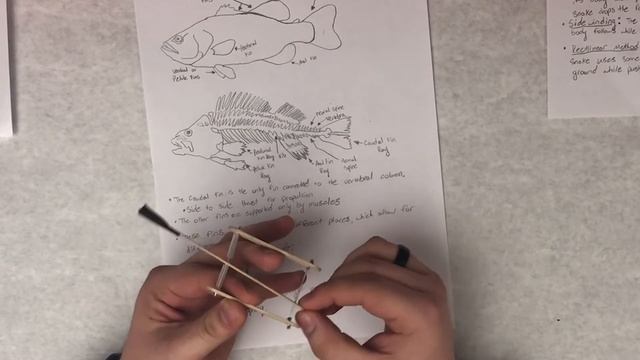 Sketch Models смотреть онлайн