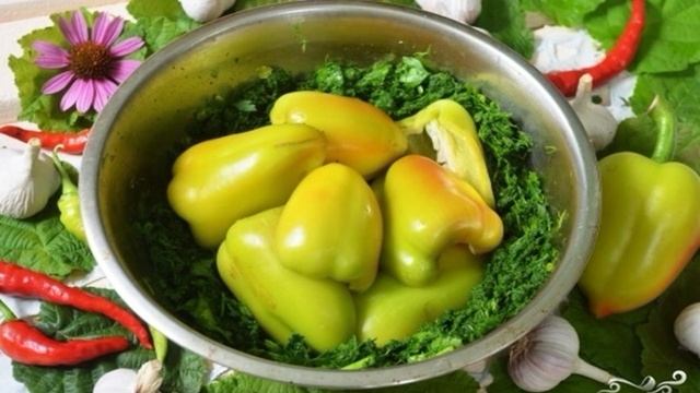 Сборник рецептов