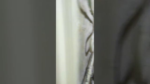 С чего начинается работа плиточника