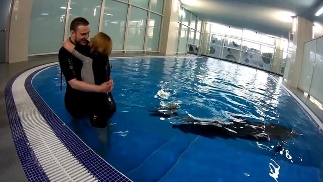 Невероятное предложение руки и сердца с дельфинами смотреть онлайн