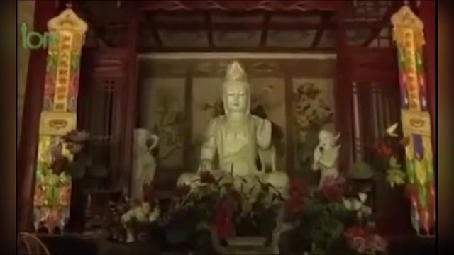 супер историки ухани.mp4 смотреть онлайн