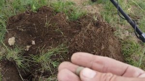 В поля! Металлоискатель Gold Hunter GoldForce F19 и F39 День серебра! Тест на глубину в конце видео