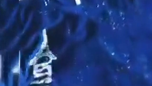 /Что в моём чемодане?🤔/КУДА Я ЕДУ ВО ВРЕМЯ КАРАНТИНА 😲/♡1 ЧАСТЬ🔮💫 смотреть онлайн