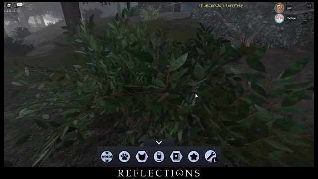 Warriors Ultimate - Reflections Live Stream смотреть онлайн