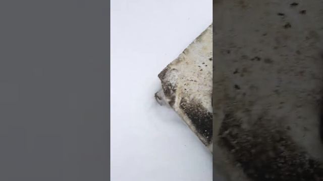 тиски станочные для нгф 110 смотреть онлайн