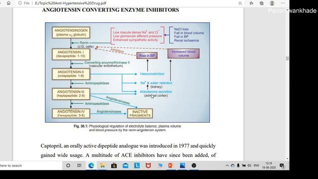 Pharmacology Topic Antihypertensive Drugs Part I