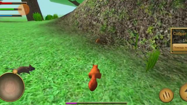 Впервые в симулятор белки? смотреть онлайн