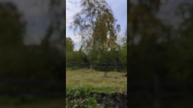 Ушедшее лето обмену и возврату не подлежит смотреть онлайн