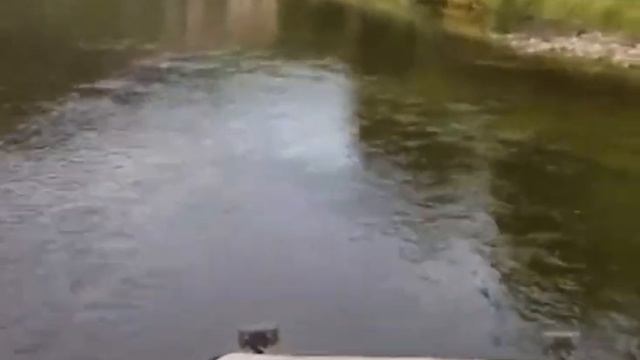 Пиранья 5 Саха (Якутия) р. Мулисьма Август смотреть онлайн