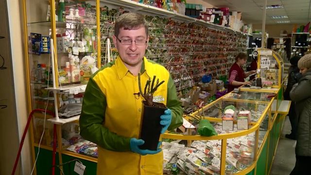 КОНСУЛЬТАНТ САДОВОДА 2 смотреть онлайн