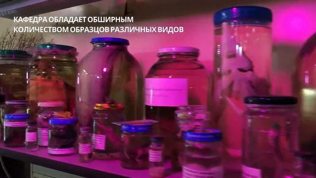 Водные биоресурсы и аквакультура | КГЭУ смотреть онлайн