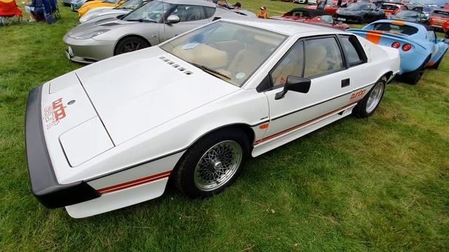 1982 Lotus Esprit Turbo 2174cc Full Video View at Shelsley Walsh Hill Climb 2019 смотреть онлайн