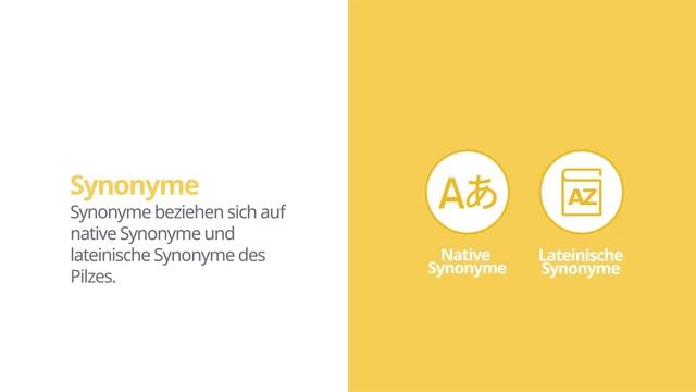 Schuppiger Porling (Polyporus squamosus) | Synonyme | Wissenschaftliches Kurzprofil | Shroomers смотреть онлайн