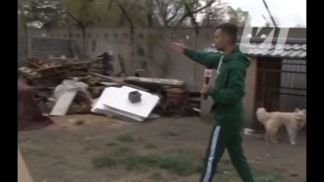 Павлодарские защитники животных просят о помощи 04.05.20 смотреть онлайн
