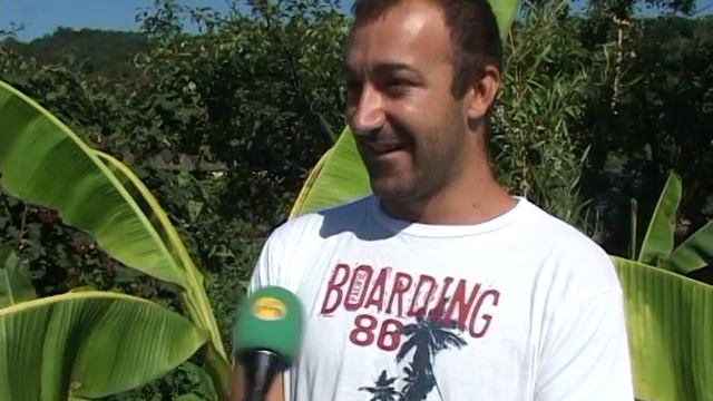 amel palme i banane смотреть онлайн