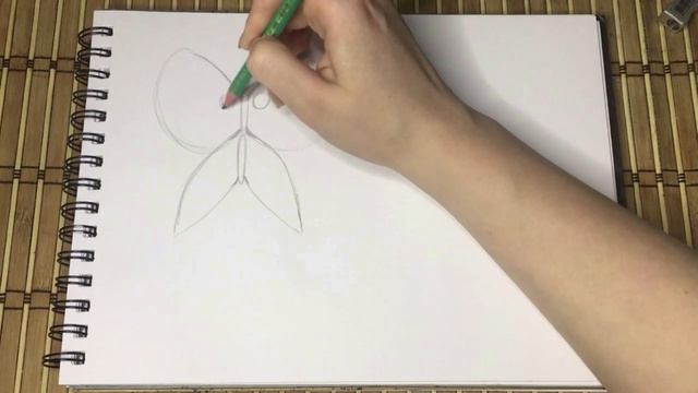 1 класс 1 урок смотреть онлайн